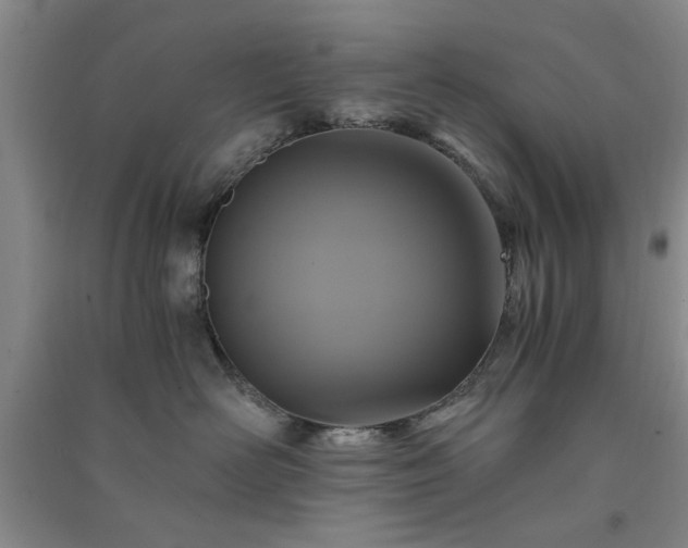 X0000091360526200708171526