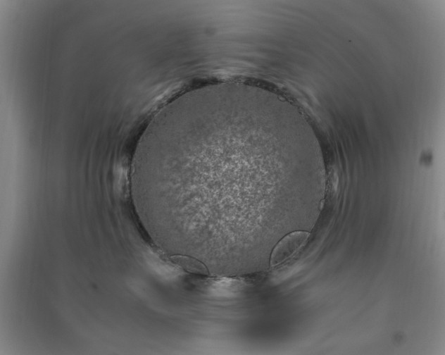 X0000091360527200708171526