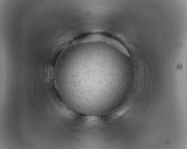 X0000091360528200708171526