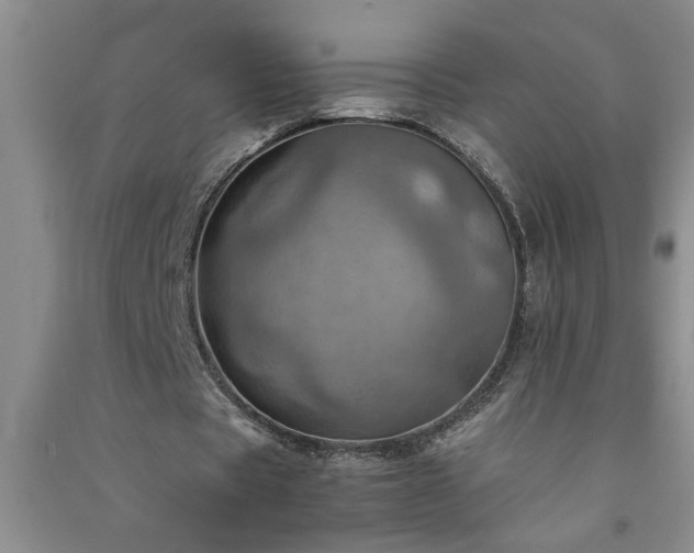 X0000091360529200708171525