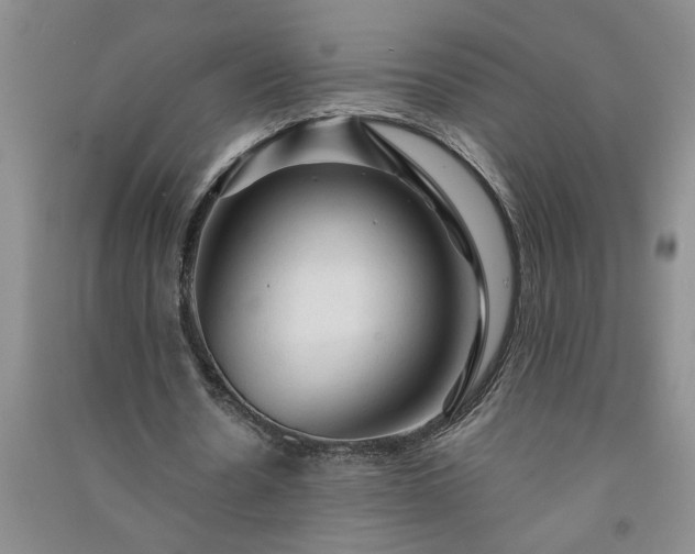 X0000091360530200708171525