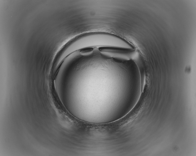 X0000091360532200708171525