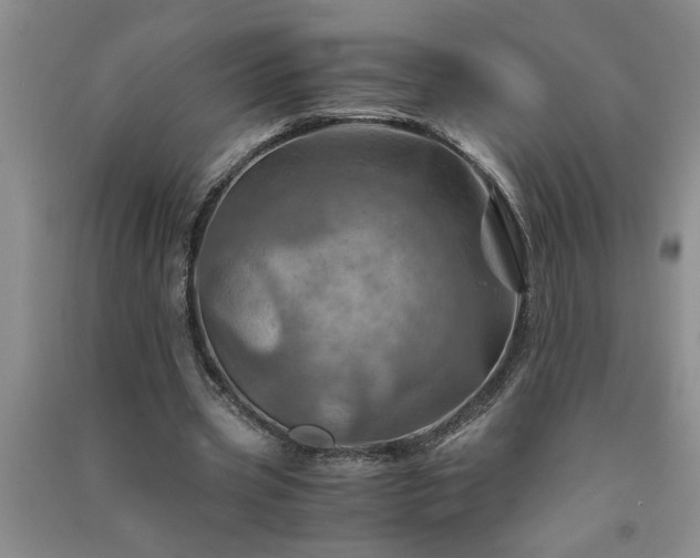 X0000091360533200708171525