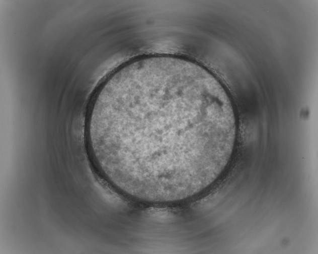X0000091360534200708171525