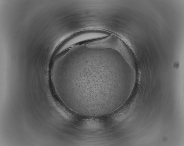 X0000091360535200708171525