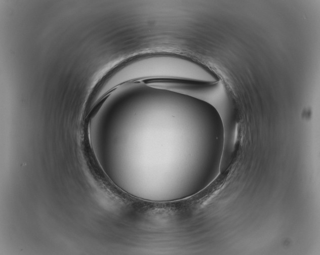 X0000091360536200708171525