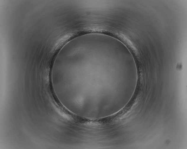 X0000091360537200708171525