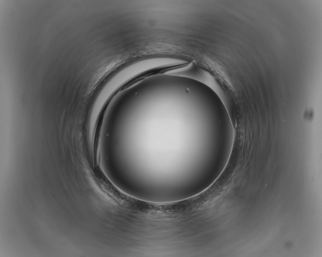 X0000091360538200708171525