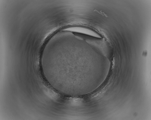 X0000091360539200708171525
