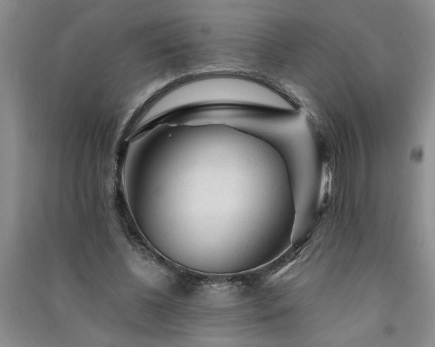 X0000091360540200708171525