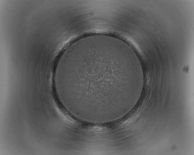 X0000091360542200708171525