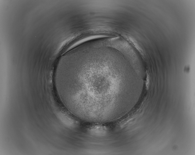 X0000091360543200708171525