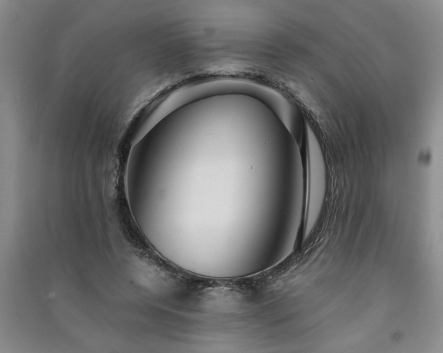 X0000091360544200708171525