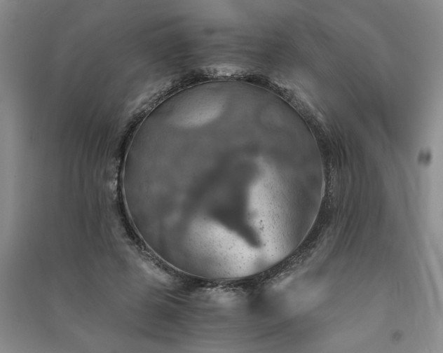 X0000091360545200708171526