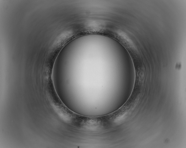 X0000091360546200708171526