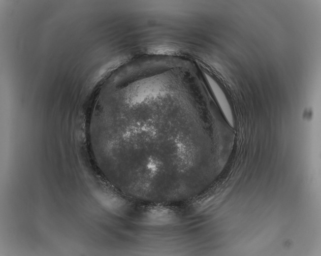 X0000091360547200708171526