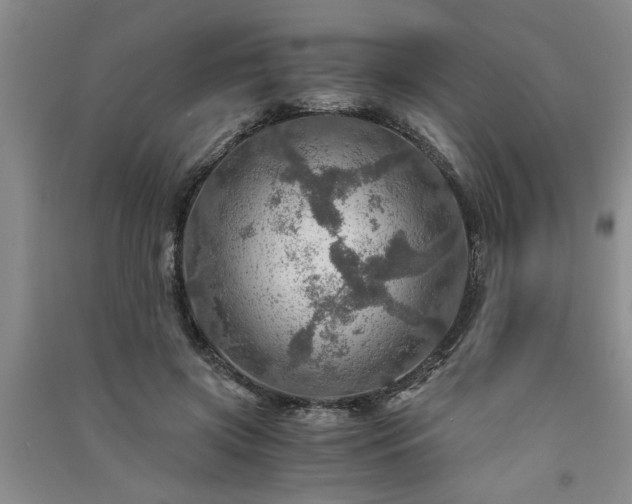 X0000091360549200708171526