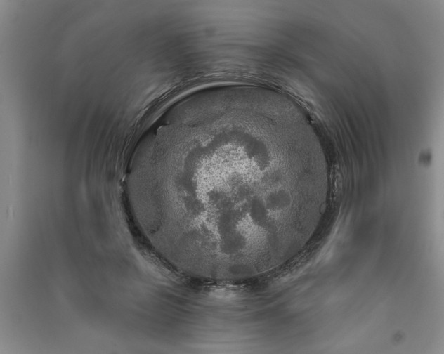 X0000091360550200708171526