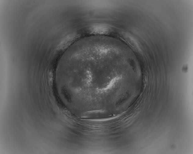 X0000091360551200708171526