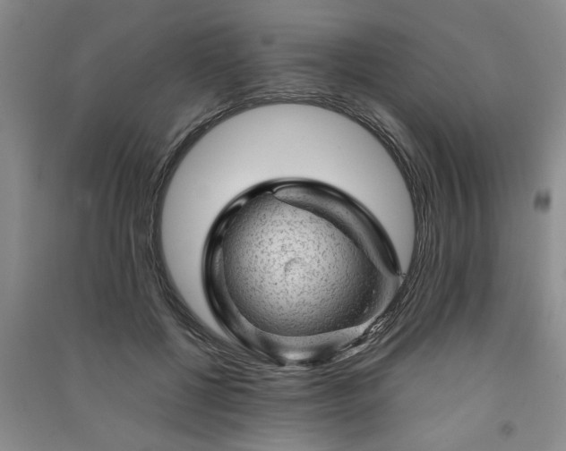 X0000091360552200708171526
