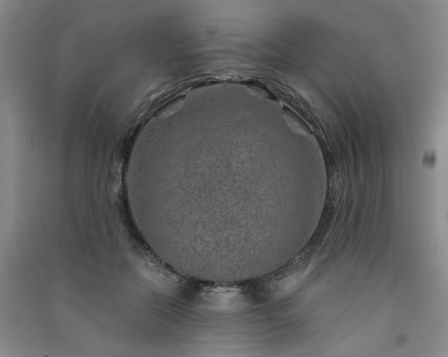 X0000091360554200708171526