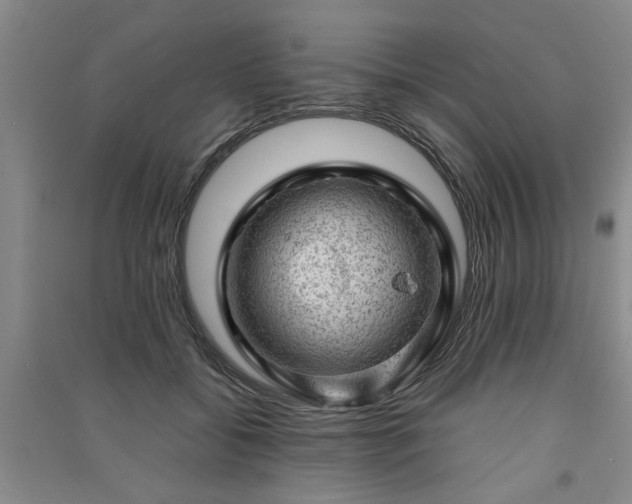 X0000091360556200708171526
