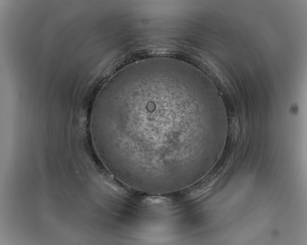 X0000091360557200708171526