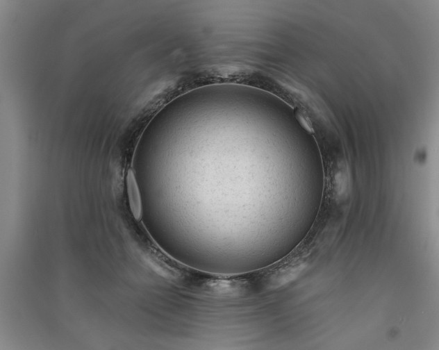 X0000091360558200708171526
