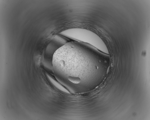 X0000091360560200708171526