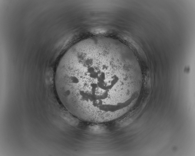 X0000091360561200708171526