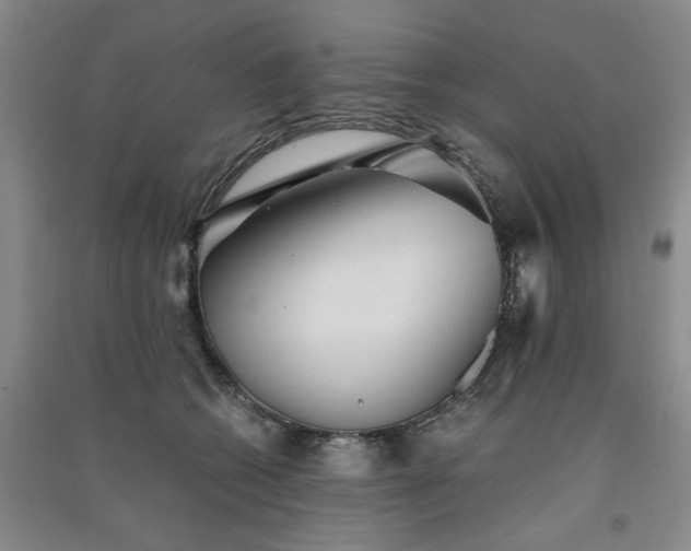 X0000091360562200708171526