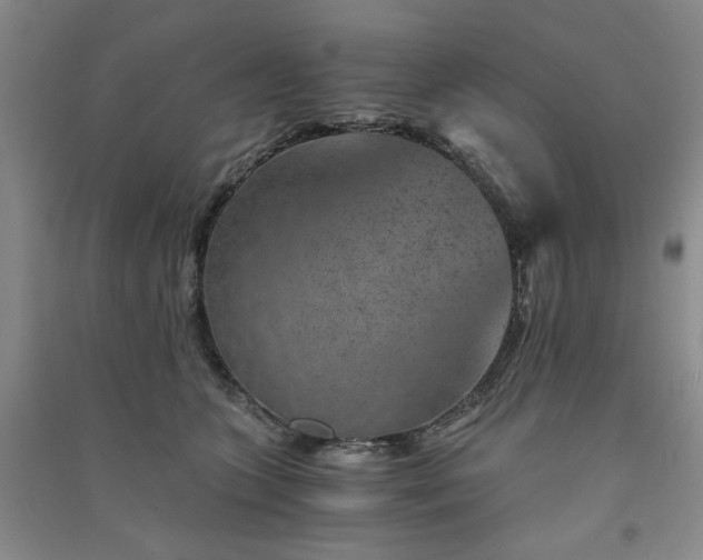 X0000091360563200708171526