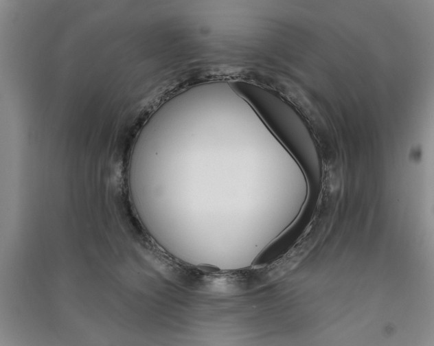X0000091360564200708171526