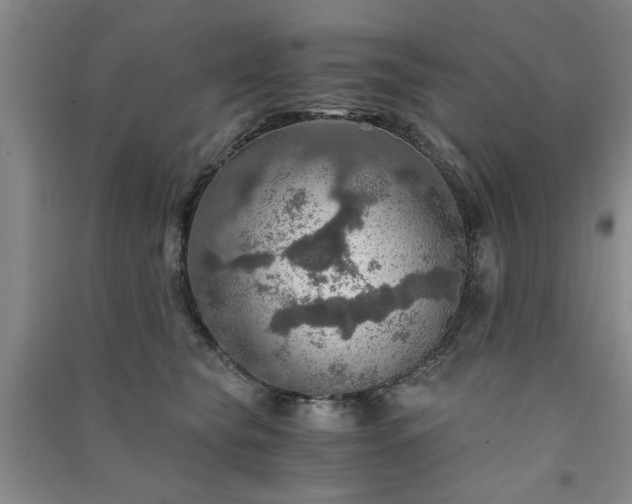 X0000091360565200708171526