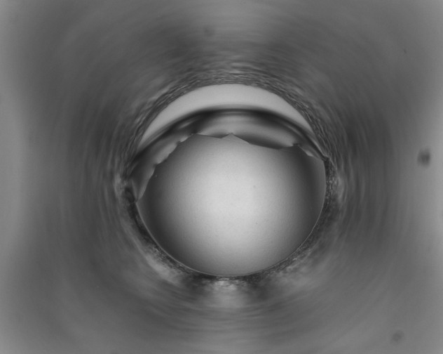 X0000091360566200708171526