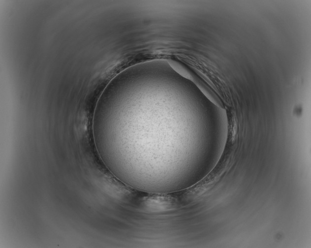 X0000091360567200708171526