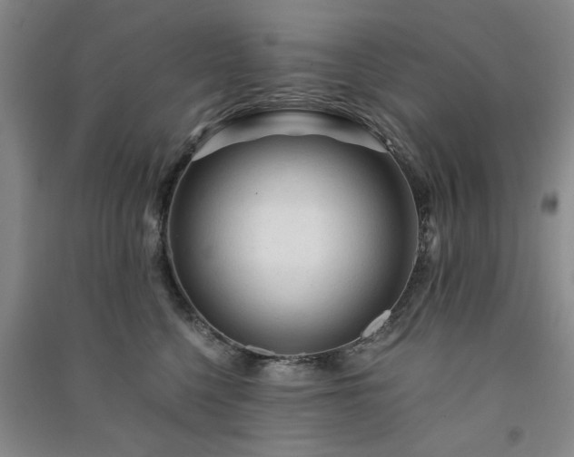 X0000091360568200708171526