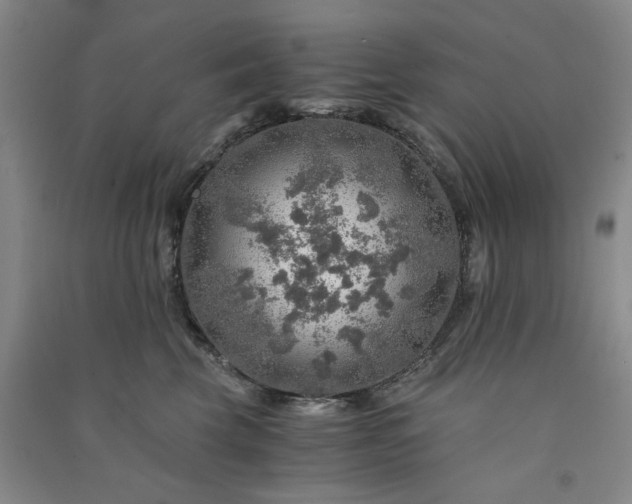 X0000091360569200708171526