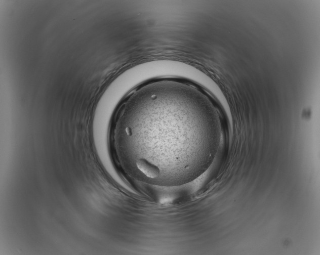 X0000091360570200708171526