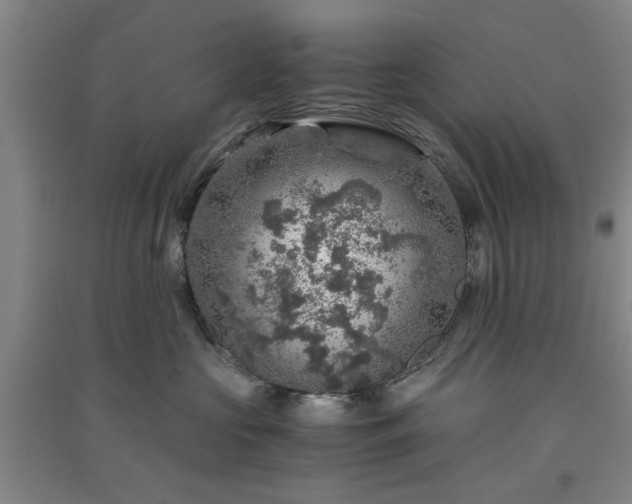 X0000091360573200708171526
