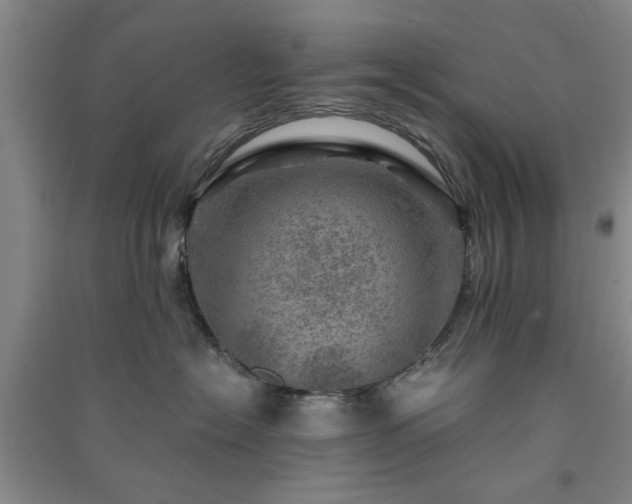 X0000091360574200708171526