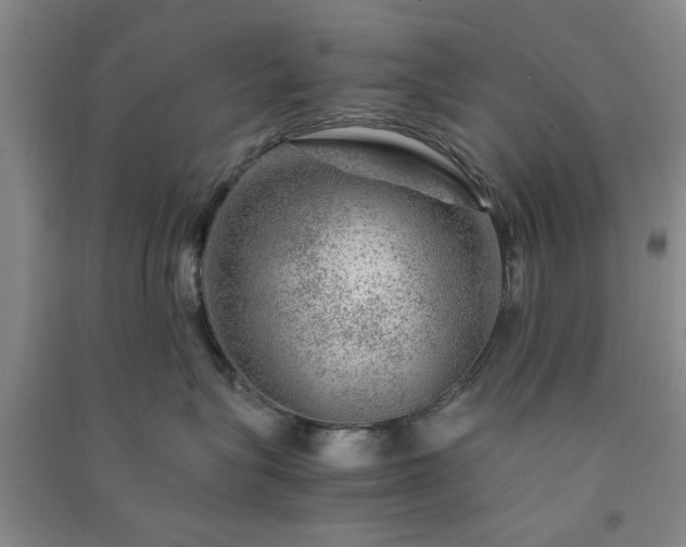 X0000091360575200708171526
