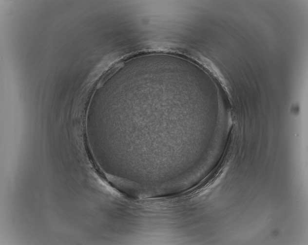 X0000091360577200708171525