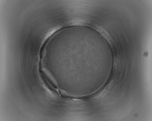 X0000091360578200708171525