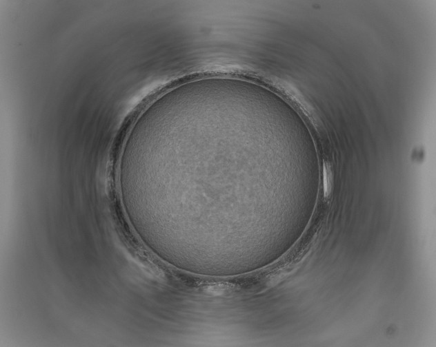 X0000091360579200708171525