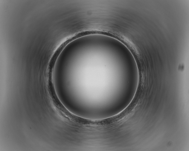X0000091360580200708171525