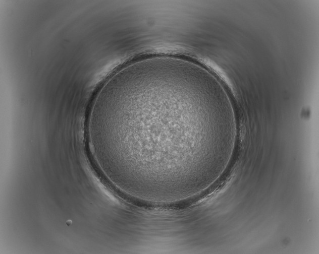 X0000091360581200708171525