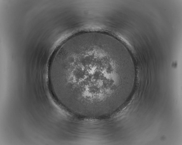 X0000091360582200708171525