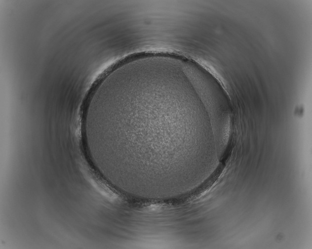X0000091360584200708171525