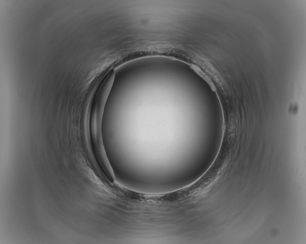 X0000091360585200708171525